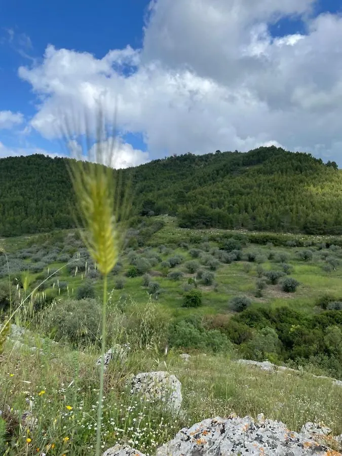 Le Case Di S. Andrea Buccheri Alloggio per agriturismo