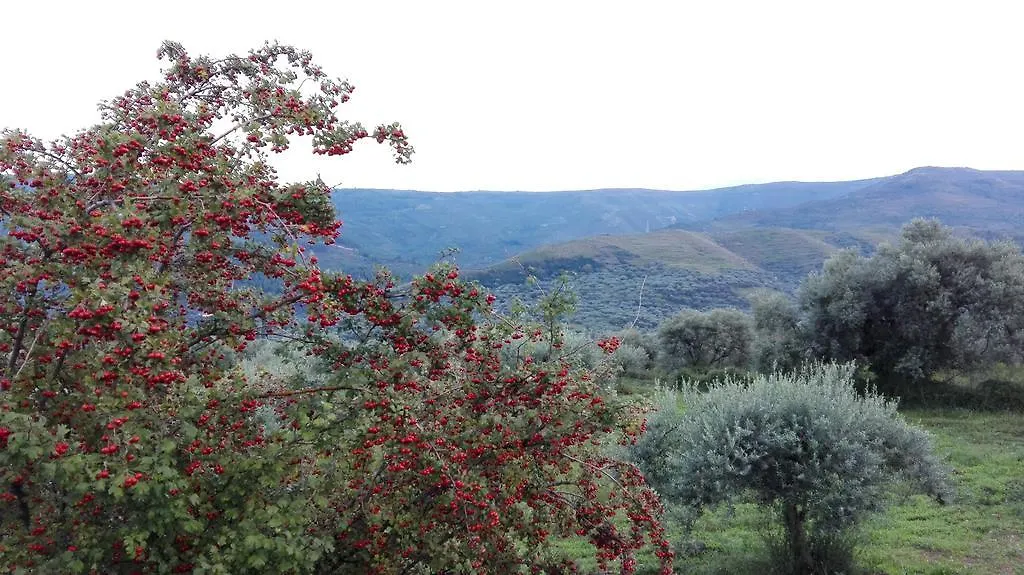 Alloggio per agriturismo Le Case Di S. Andrea Buccheri Italia