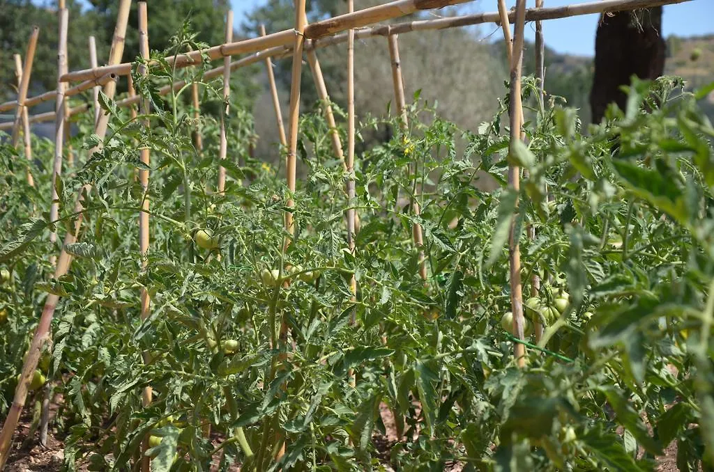 Le Case Di S. Andrea Buccheri Alloggio per agriturismo