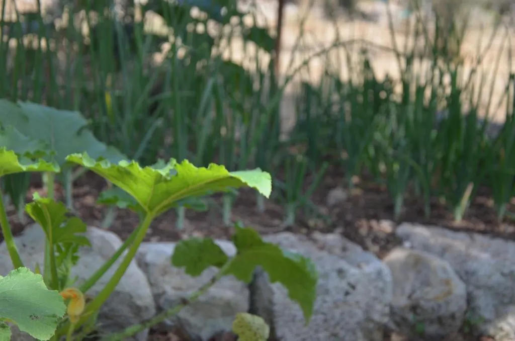 Alloggio per agriturismo Le Case Di S. Andrea Buccheri