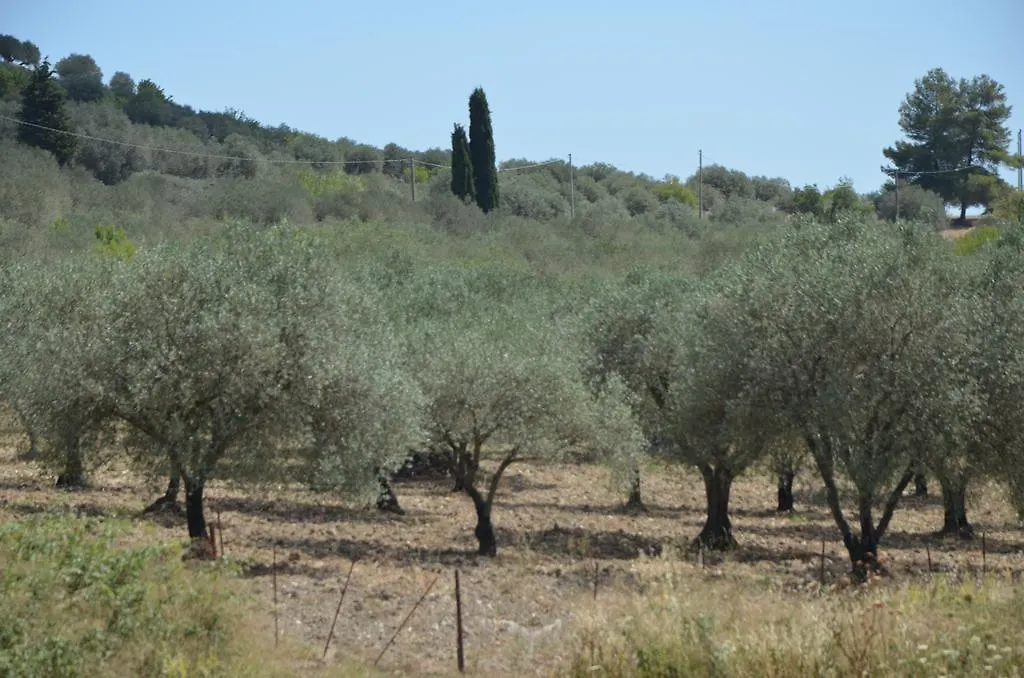 Alloggio per agriturismo Le Case Di S. Andrea Buccheri